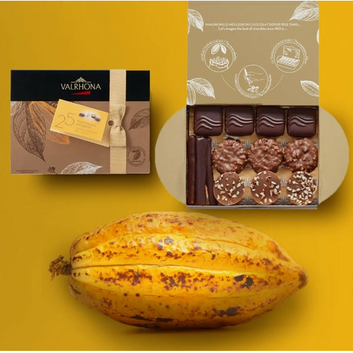 Ballotin Valrhona 230g