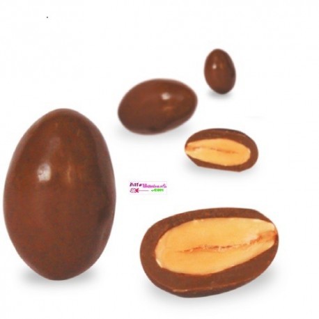 Amandes Chocolat au Lait,320 grs