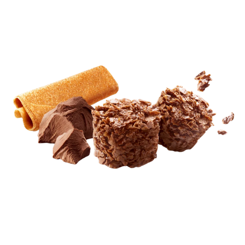 TM0150730010-1 Rochers Croustillants Chocolat & Crêpe Dentelle 95g Gavottes