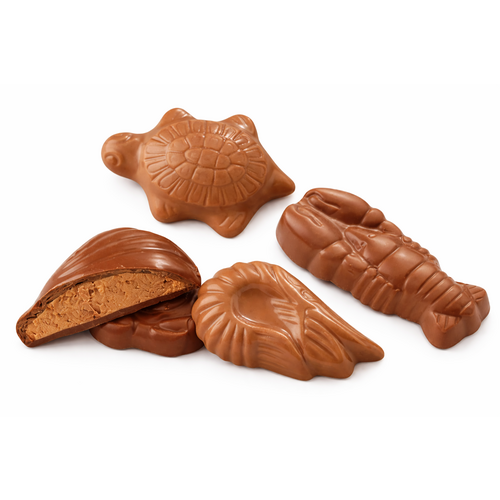 Friture pralinée Ariel chocolat au Lait 1kg Dupleix